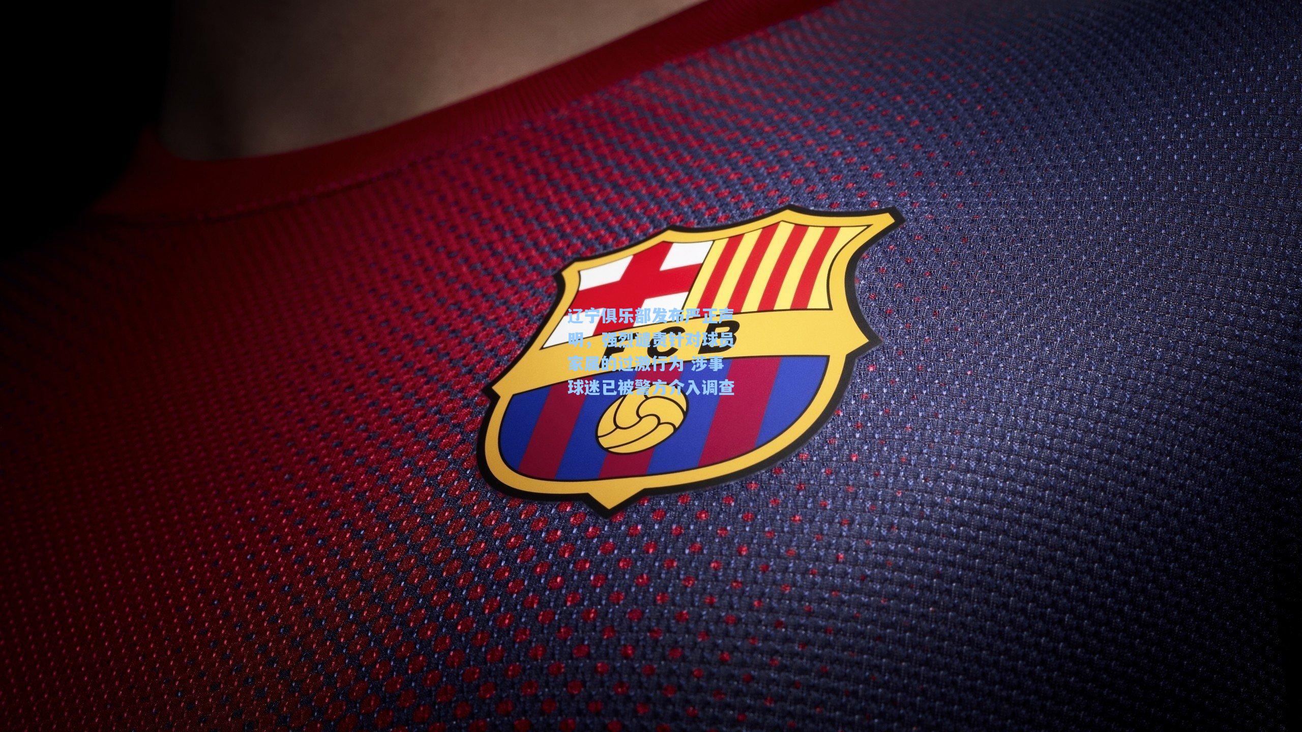 辽宁俱乐部发布严正声明，强烈谴责针对球员家属的过激行为 涉事球迷已被警方介入调查